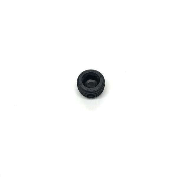 Pipe Plug, 1/8 NPT, STL - COD: TN-04192